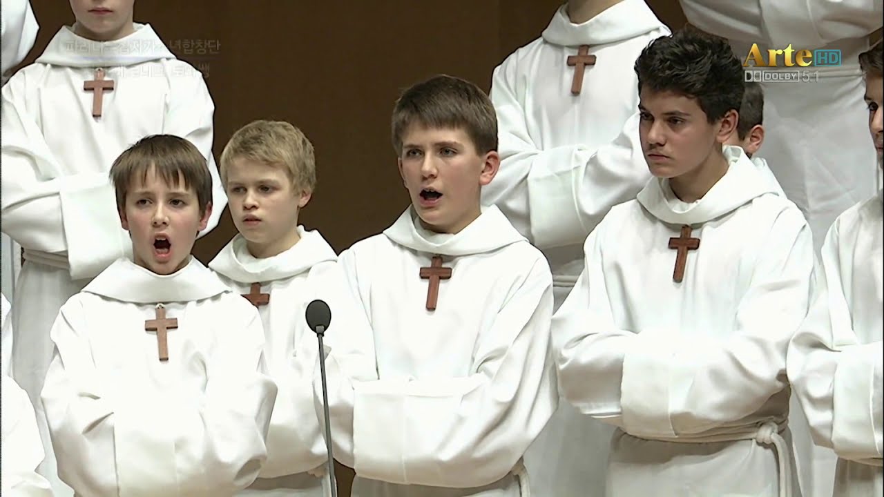 PCCB - Ego gaudebo in Domino (2010)