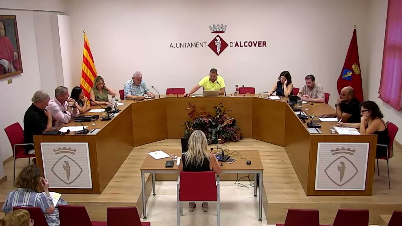 Sessió plenària ordinària divendres 4 de juliol de 2025