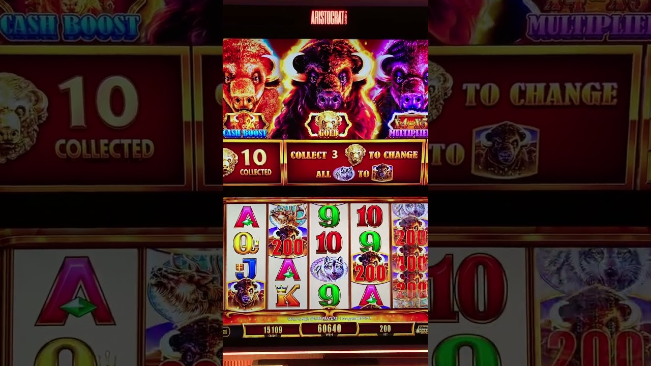 Sunday evening nice win on Buffalo Gold Cash Collection.