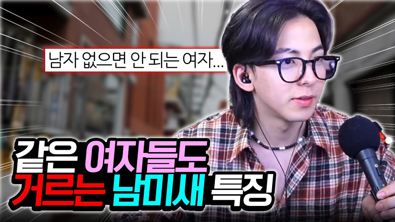 남미새 특