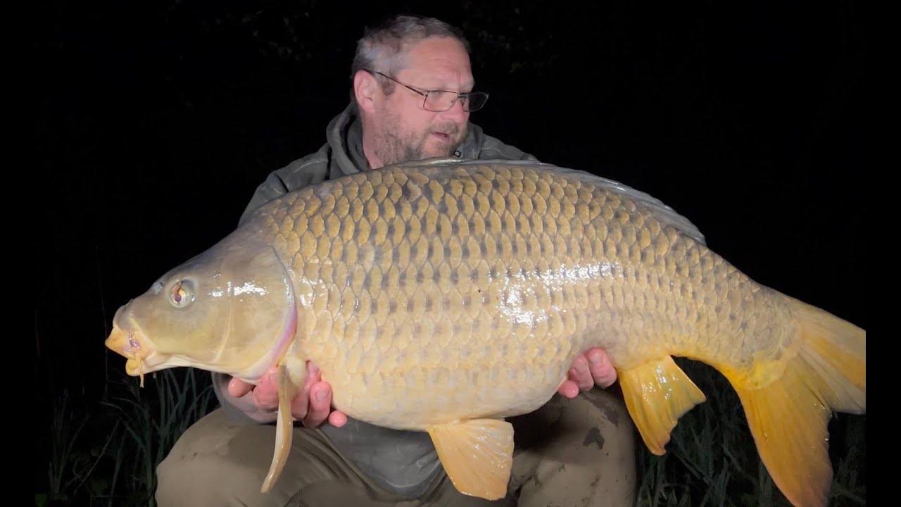 Le montage glissant qui prend un max de carpes by Carpecanal