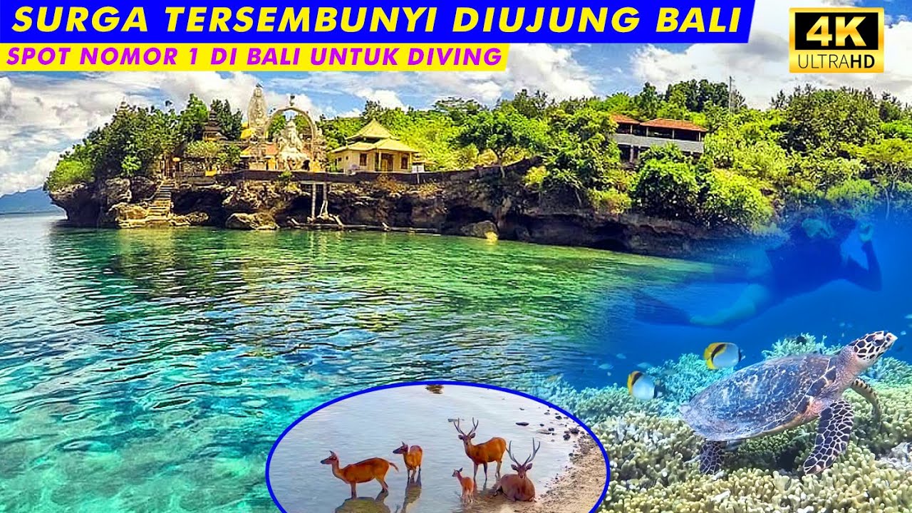 PULAU MENJANGAN TANPA PENGHUNI TERBARU | PANTAI GILI PUTIH SUMBERKIMA BALI