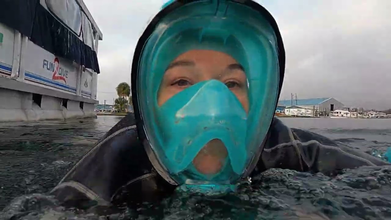 Swimming with Manatees in Crystal River, Florida!