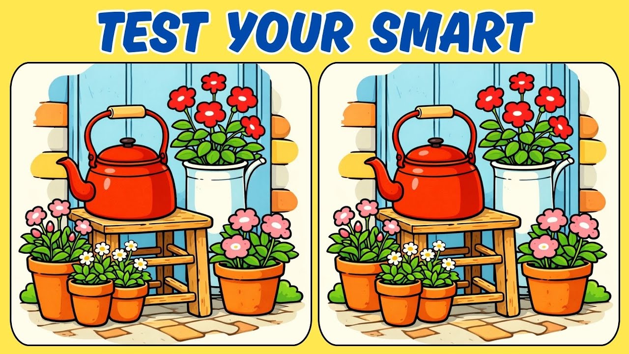 🧠🧩Spot the Differences : Calm & Cozy Game🧠🧩Brain Bang Bang