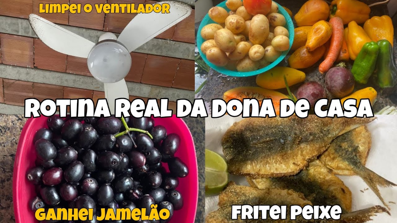 Vlog Rotina Real Da Dona De Casa/Sem Filtros✅