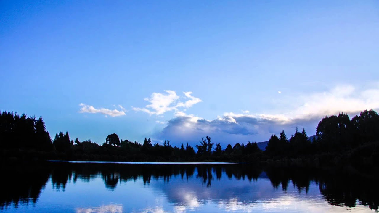 Lake Henry - Te Anau