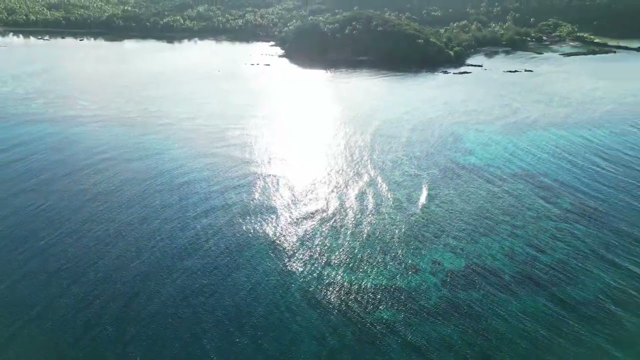 Tavewa Island Fiji - Reef from Above