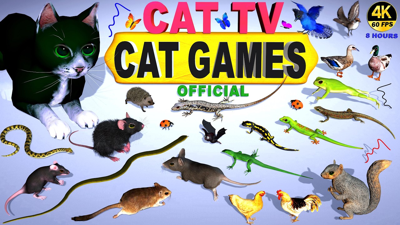 CAT GAMES | VIDEOS FOR CATS TO WATCH 😻 CAT FAVORITE MOVIE | ULTIMATE CAT TV ENTERTAINMENT 4K 8 HOURS