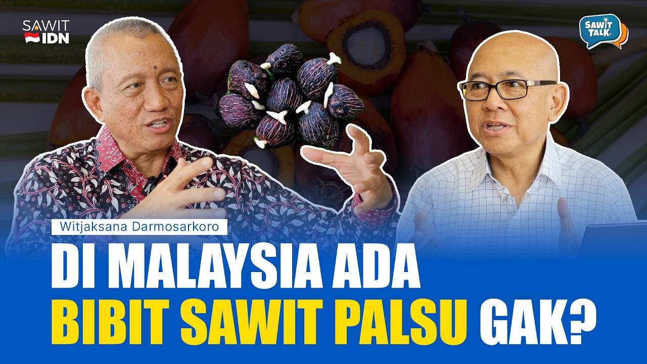 Di Balik Produktivitas Sawit Indonesia dan Malaysia | Witjaksono Darmosarkoro - SawitIDN