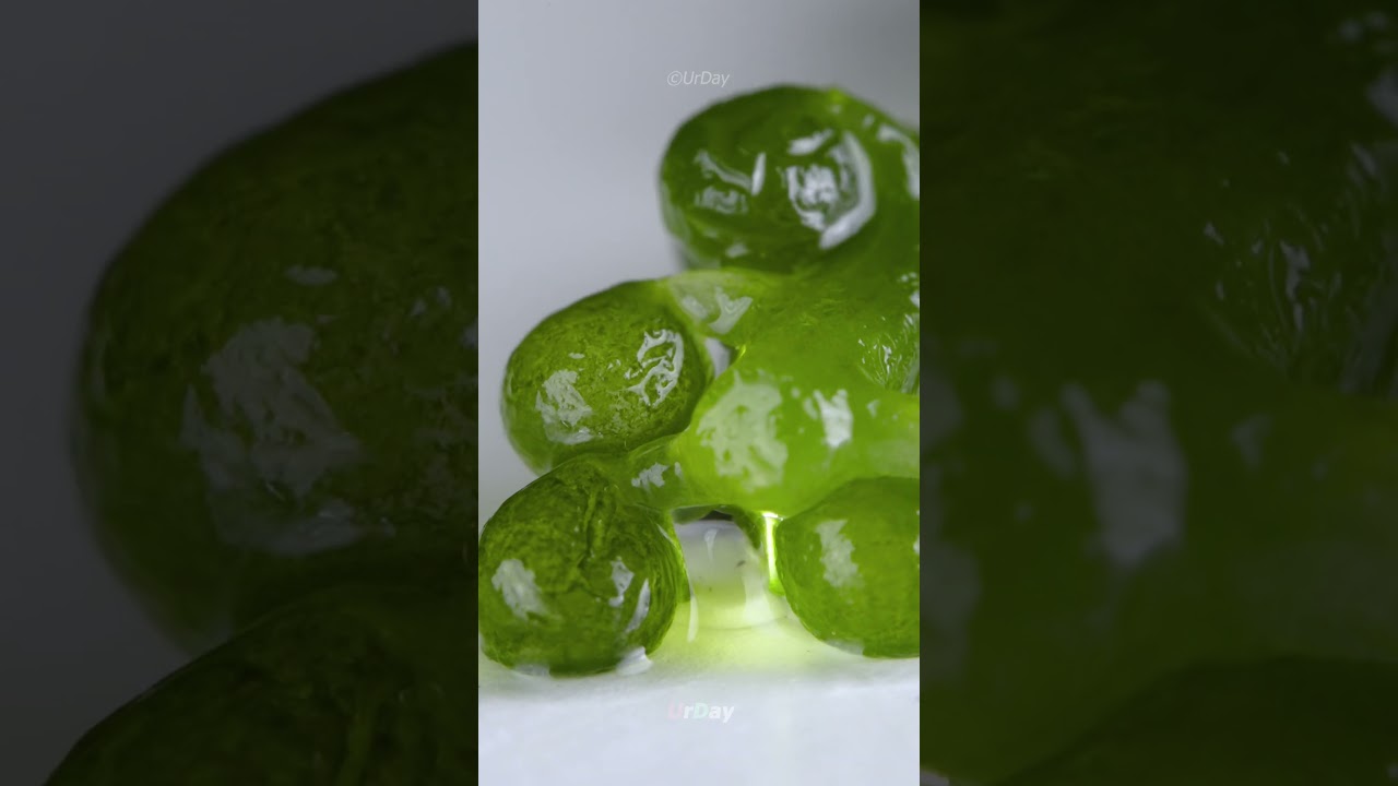 How Sea grapes rise close up  #urday #satisfying #closeup