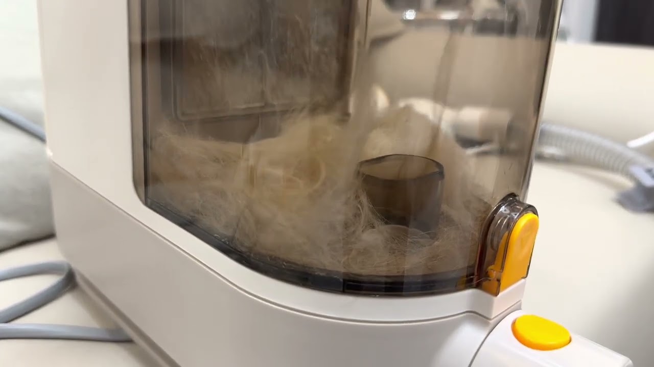 PalFur IN01 in Real Reaction 02|How Directional Air-flow Works with Cat&rsquo;s Hair?