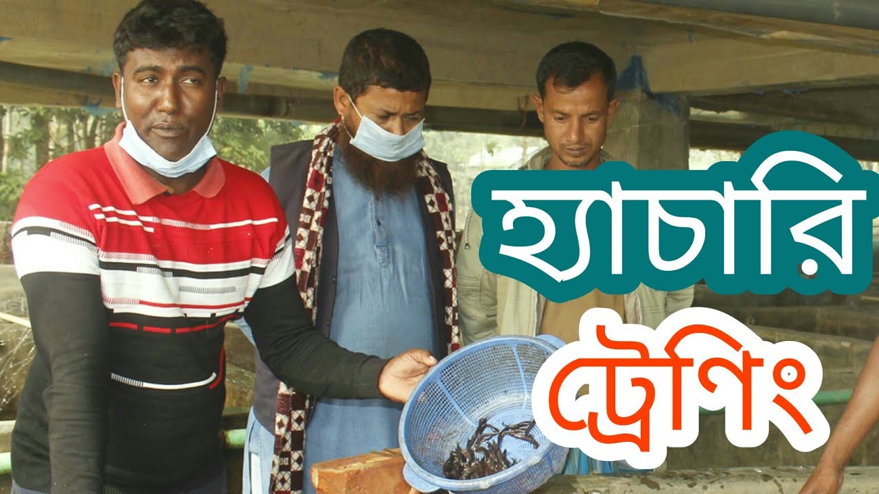 দেশীয় মাছের রেণু উৎপাদন শিখুন চঞ্চলের কাছে দেশি মাছের হ্যাচারি তৈরির যাবতীয় ট্রেনিং শুরু চঞ্চল নওগাঁ