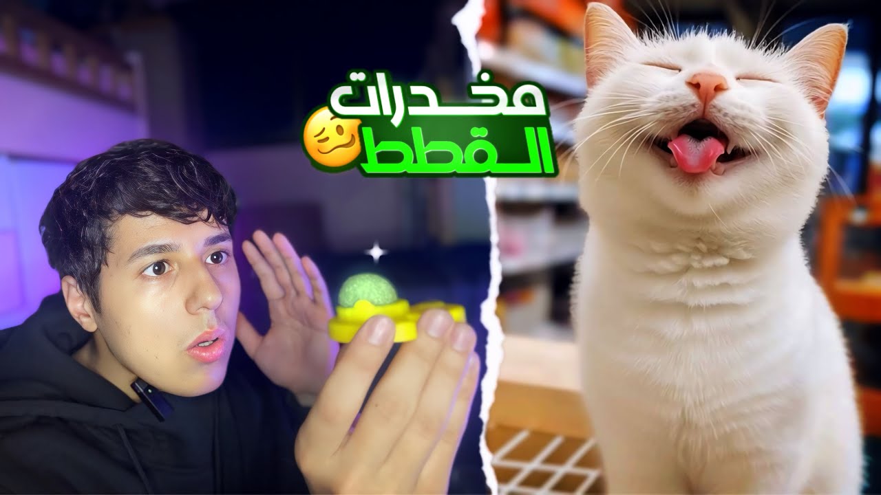 مقلبت قطي وخليته يجرب لأول مرة مخ_درات 😱🤯 مستحيل اللي صار