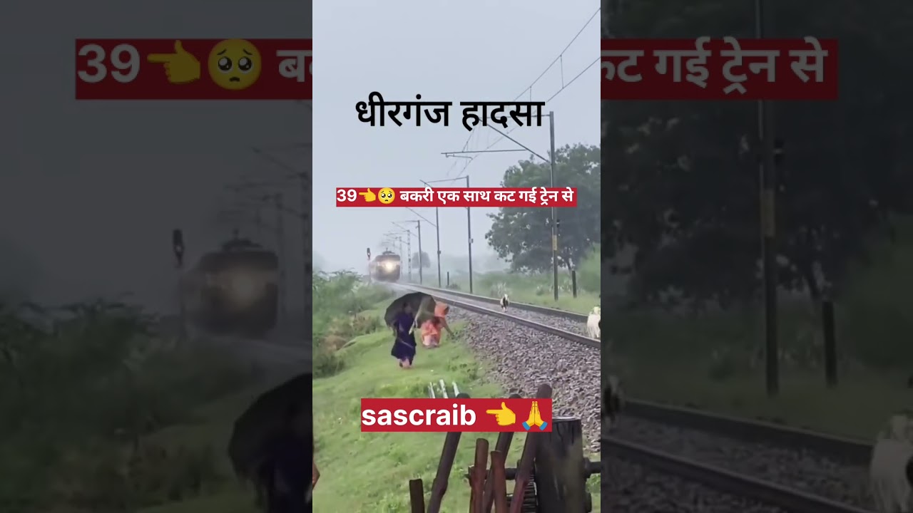 🥺39 बकरी एक साथ कट गई ट्रेन से 🥺🥺 हटाने के बाजूद भी नहीं हटा पाये बकरी
