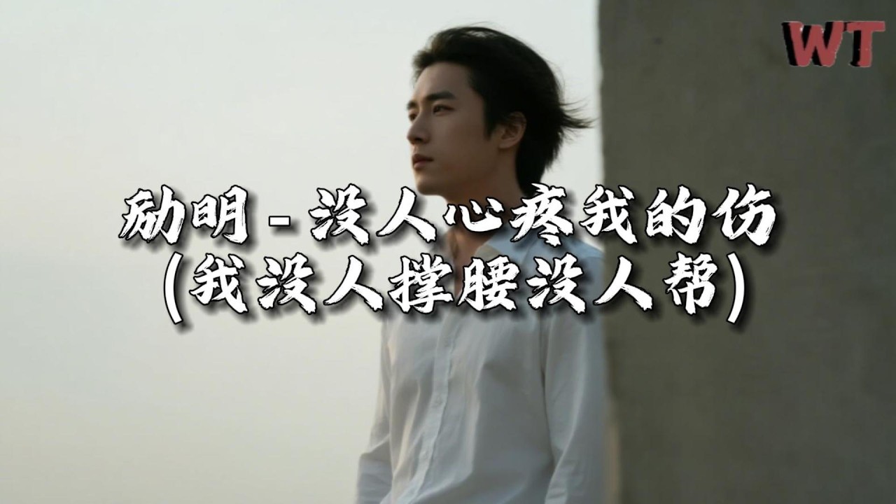 励明 - 没人心疼我的伤(我没人撑腰没人帮)『谁知我经历多少场，痛苦的挣扎与失望。』【动态歌词MV】