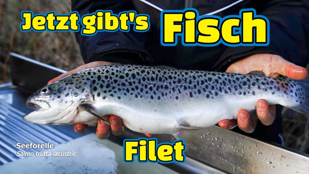 Fischfilet in Sekunden. Filetieren schnell & sicher. ⚠️