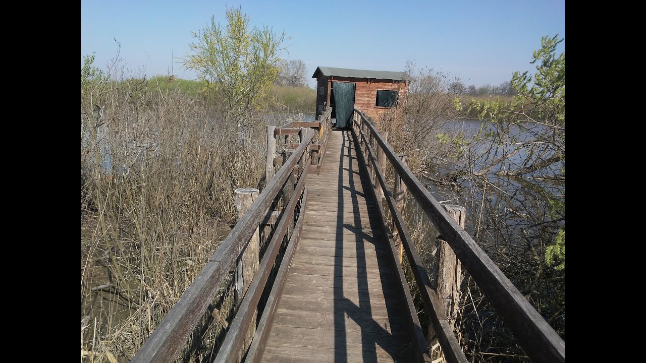 Storie di fiume. Storie dell'Oglio. Le Torbiere di Marcaria