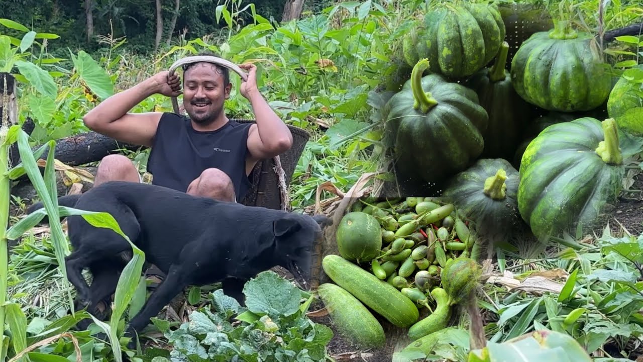 Ia video ko repost kana nangtaitaijok Auto-dubbed onganigimin dao niataibojok ❤️ A.ba reangani video