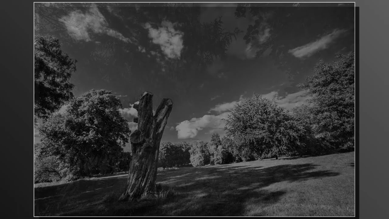 Woodthorpe in Black & White 2