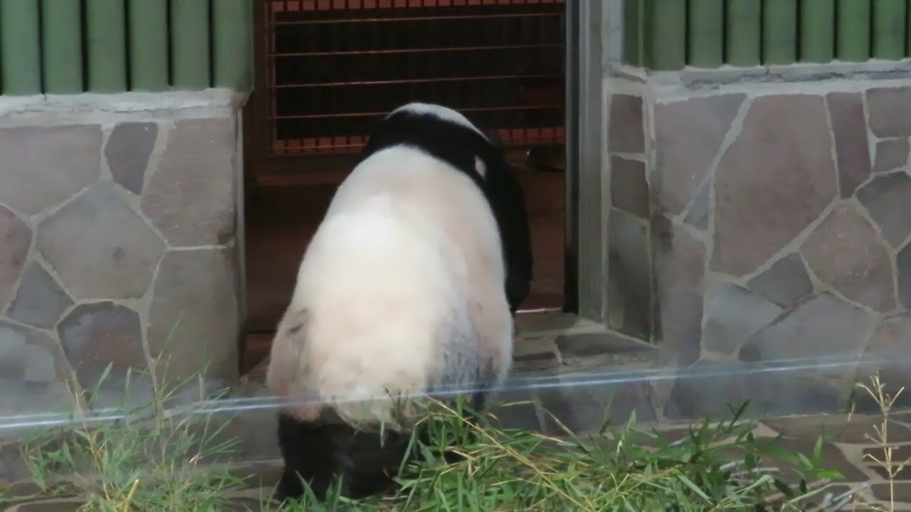 2022/12/14 シャッターを開けると……
