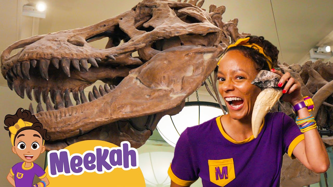 Meekah Learns About Dinosaurs at the Natural History Museum! | Meekah Full Episodes