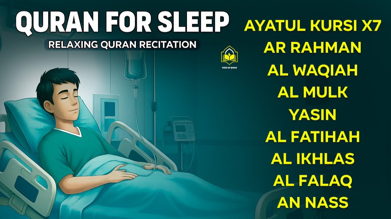 Relaxing Quran Recitation For Deep Sleep And Your All Problems Solve | Relaxing - By Alaa Aqel