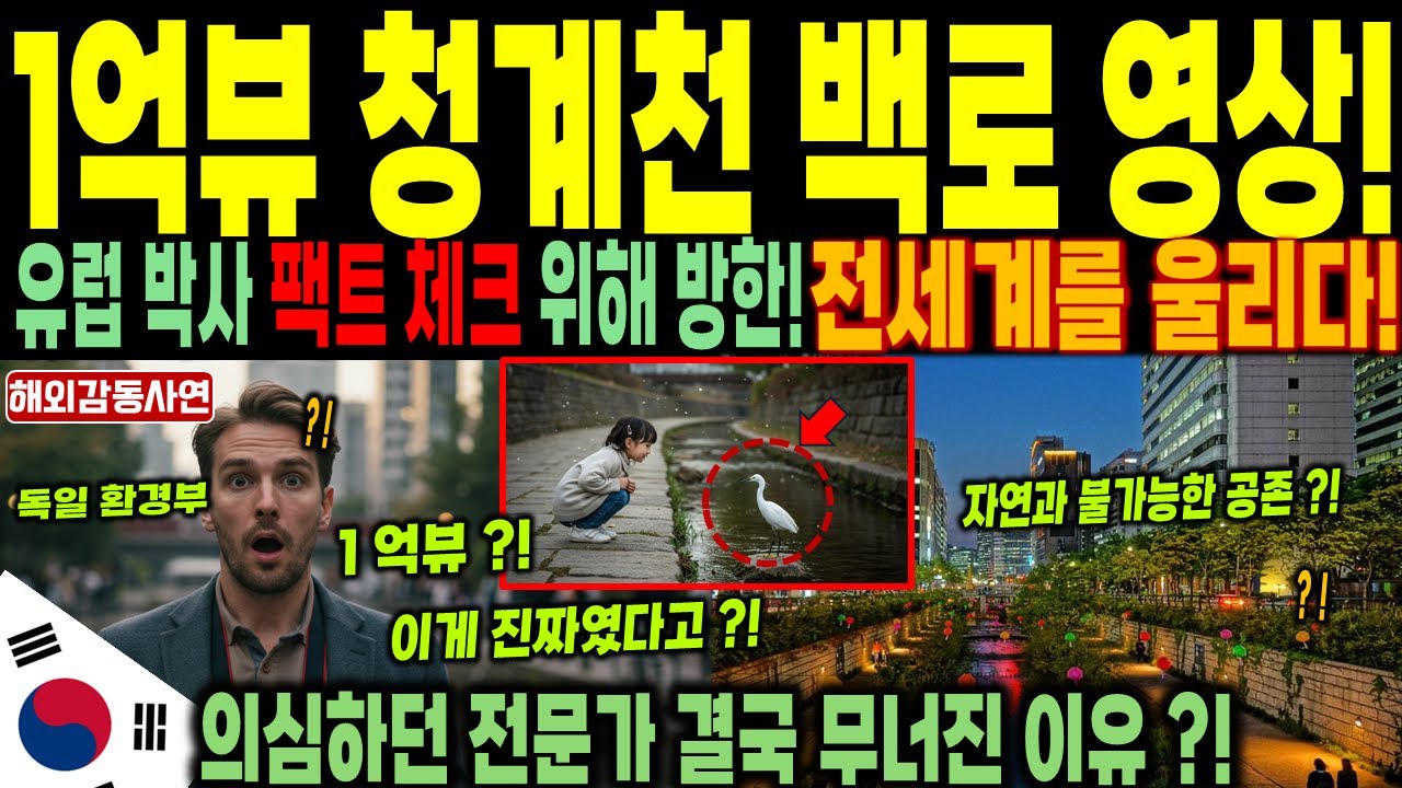 [해외감동사연] 