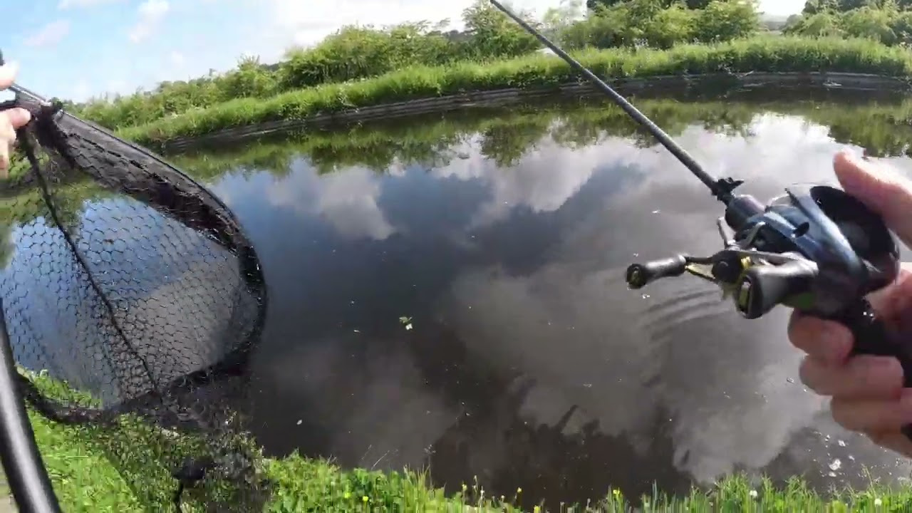 Perch fishing - BFS Ultralight lures - UK Canal Fishing