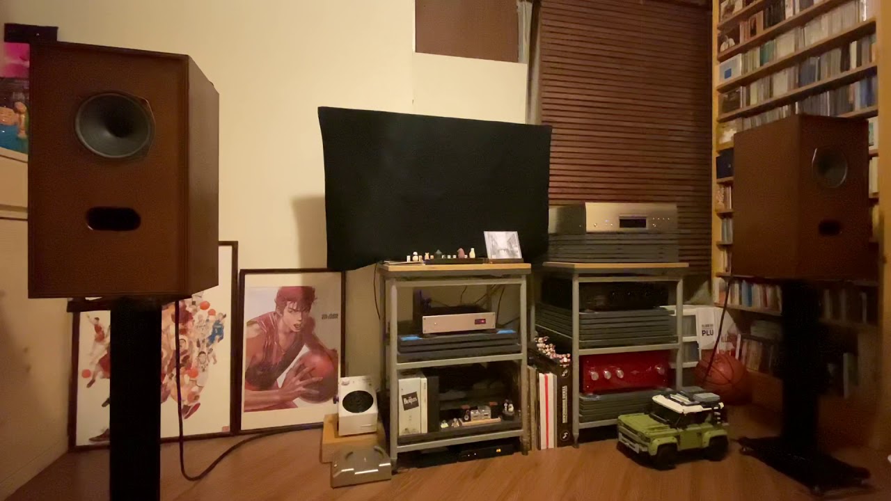 My Diatone P610DB