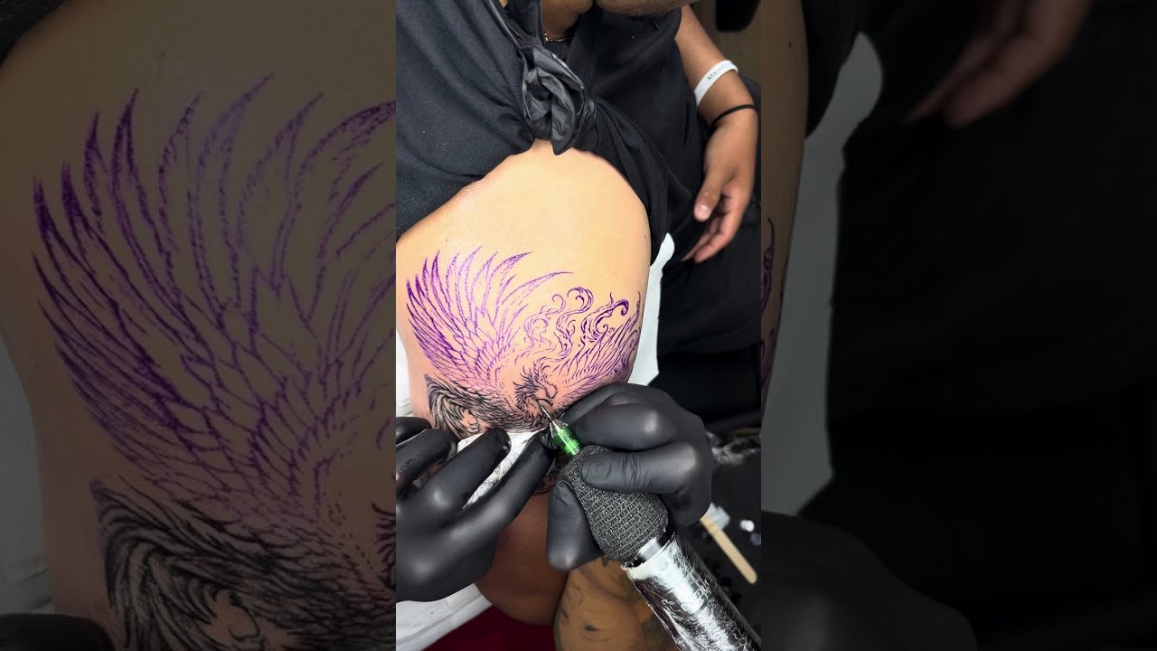 How to Tattoo a fine line phoenix 