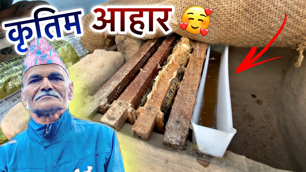 🐝 धेरै लामो अबधि पछि मौरीलाई कृतिम चारा दिँदै 😍 || Artificial Feeding || Nepal Bee Keeping ||