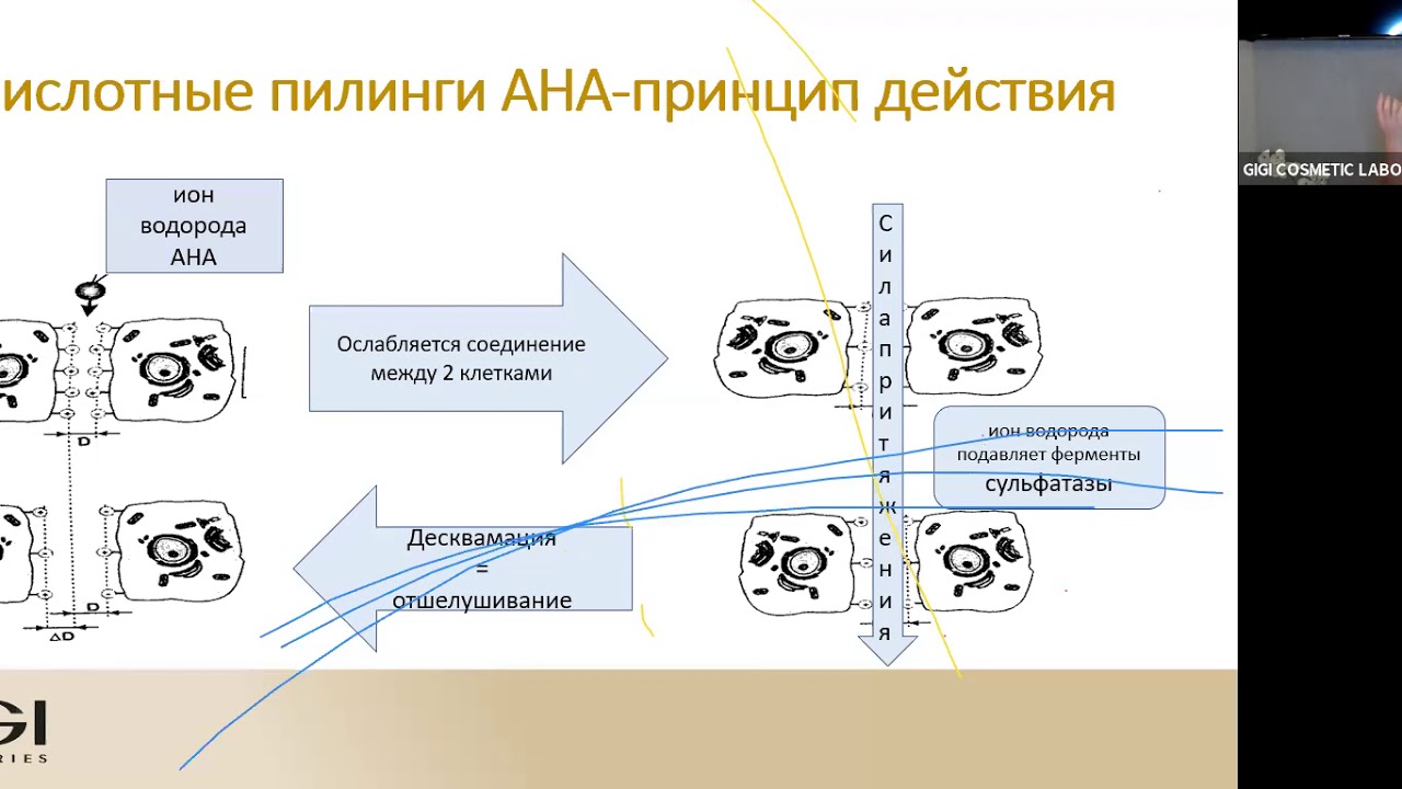 Энциклопедия пилингов GIGI