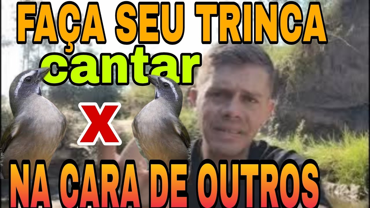 trinca ferro (como cantar de cara)