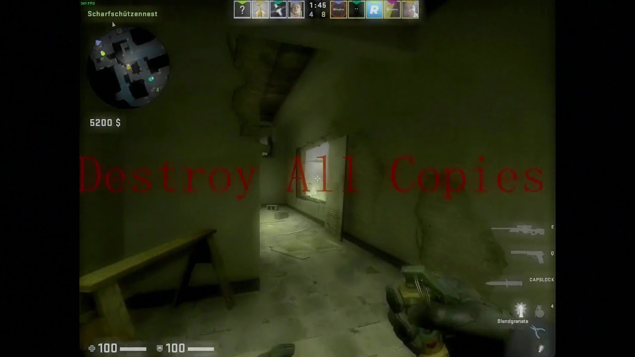 Destroy All Copies // CSGO Montage
