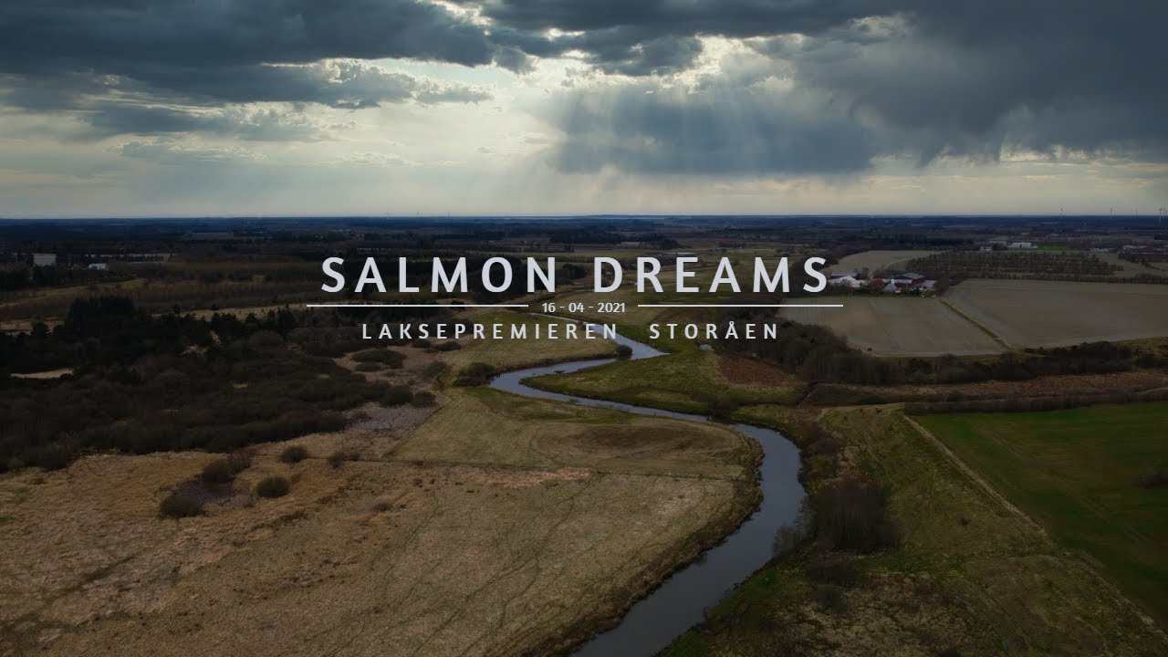 Salmon Dreams - LAKSEPREMIEREN 2021 | Storåen