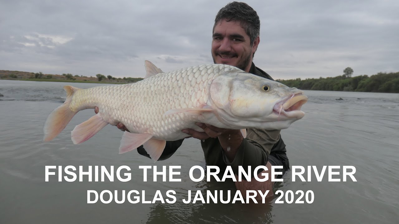 Fishing the Orange river - Douglas January 2020