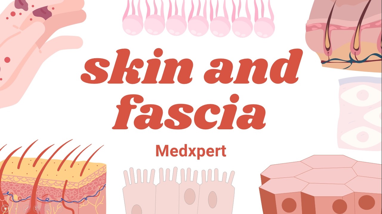 Basis of Human Anatomy| Skin and Fascia