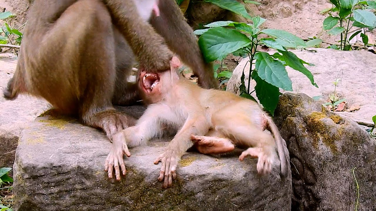 I'm so sorry Mummy!