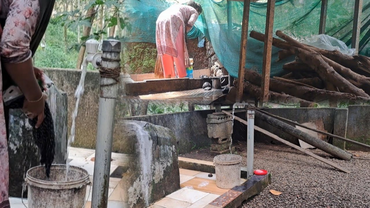  വീട്ടിലെ ജോലികളും ചുറ്റുപാടുകളും#dayinmylife 