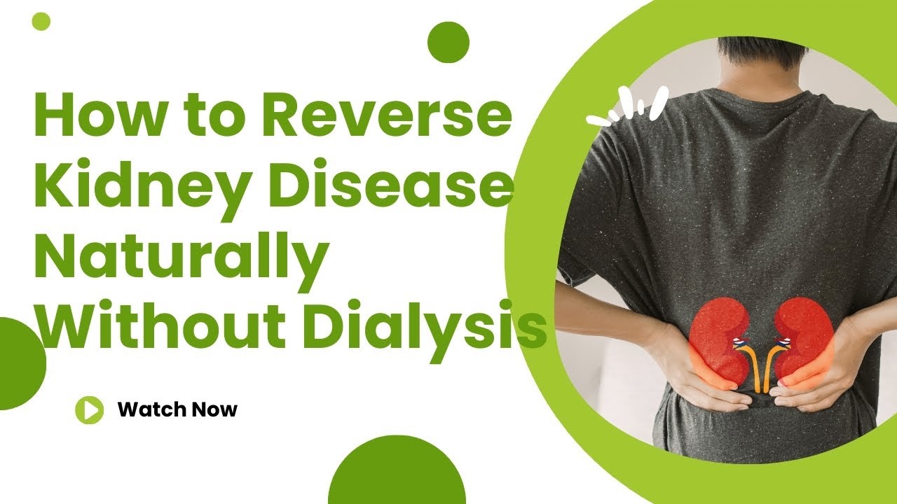 How to Reverse Kidney Disease Naturally Without Dialysis