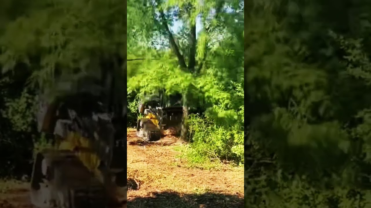 #forestrymulching #landclearing #mulching #landscaping #forestrymulcher #shorts #johndeere
