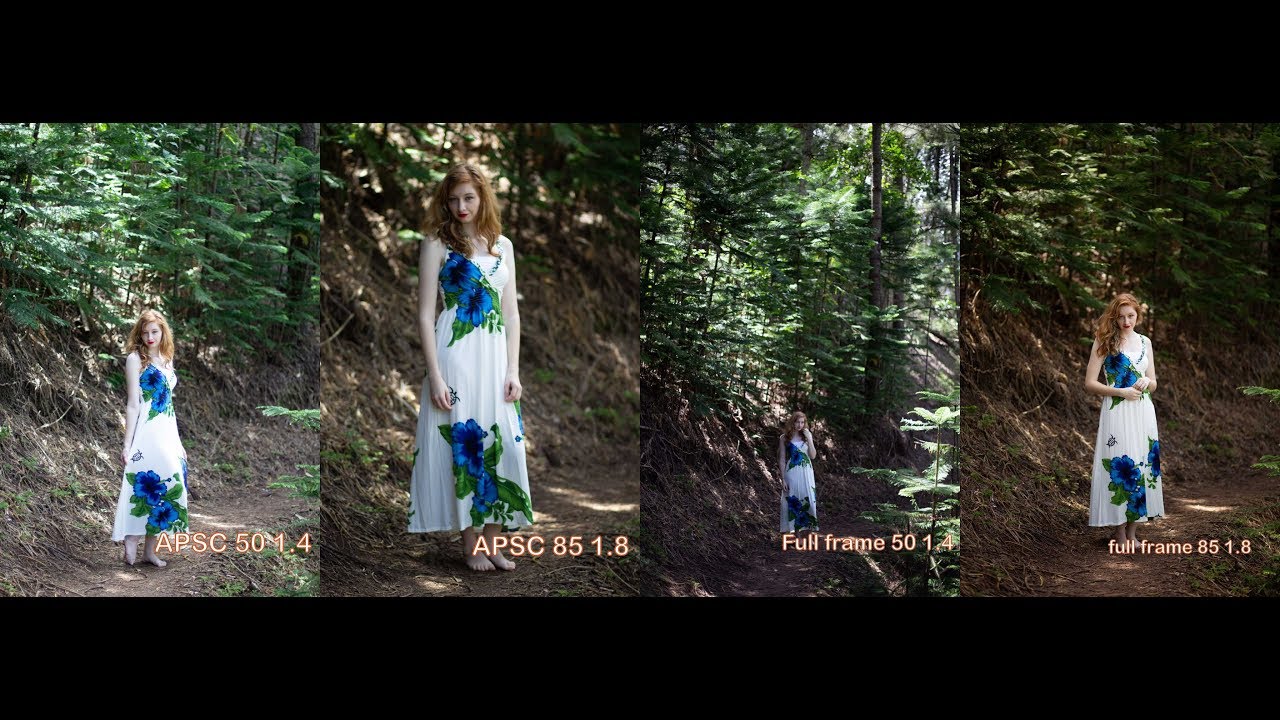 Canon 50mm 1.4 VS 85mm 1.8 on  APSC and Full Frame photo samples!
