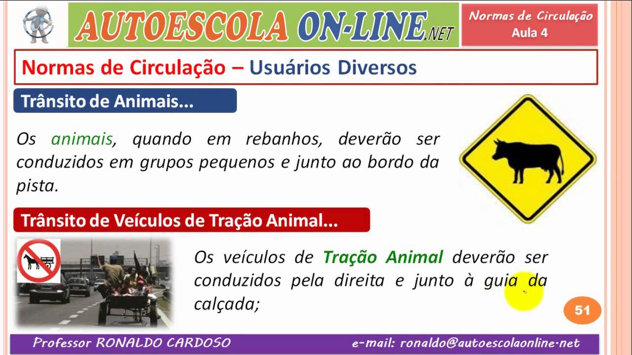 21 NORMAS DE CIRCULAÇÃO - Luzes e Buzina, Pedestres, Animais e Outros...
