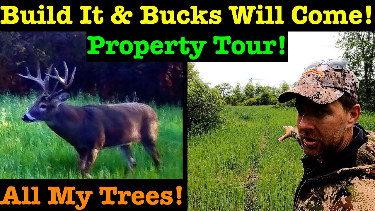Deer Hunting Property Tour & Habitat Update! Big Bucks On Small Property! Tree Planting Update!
