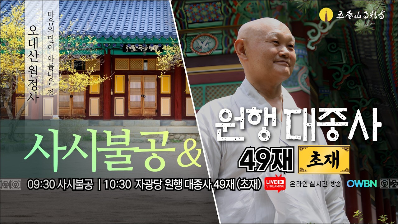 26년 3월 18일 (수) | 오대산월정사 사시불공 & 자광당 원행대종사 49재 초재