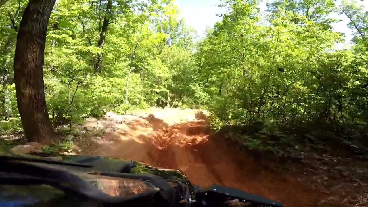 Exploring Top Trails near Talladega