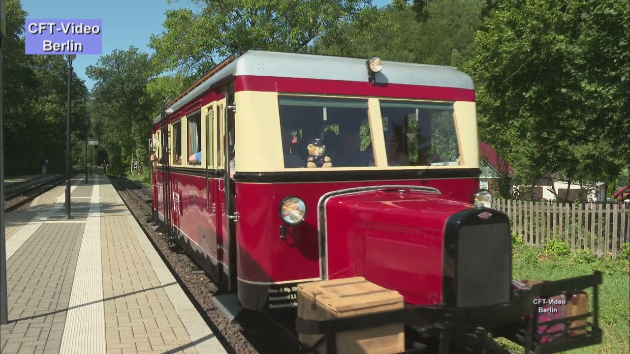 Wismarer Schienenbus,  Schweineschnäuzchen oder Ameisenbär