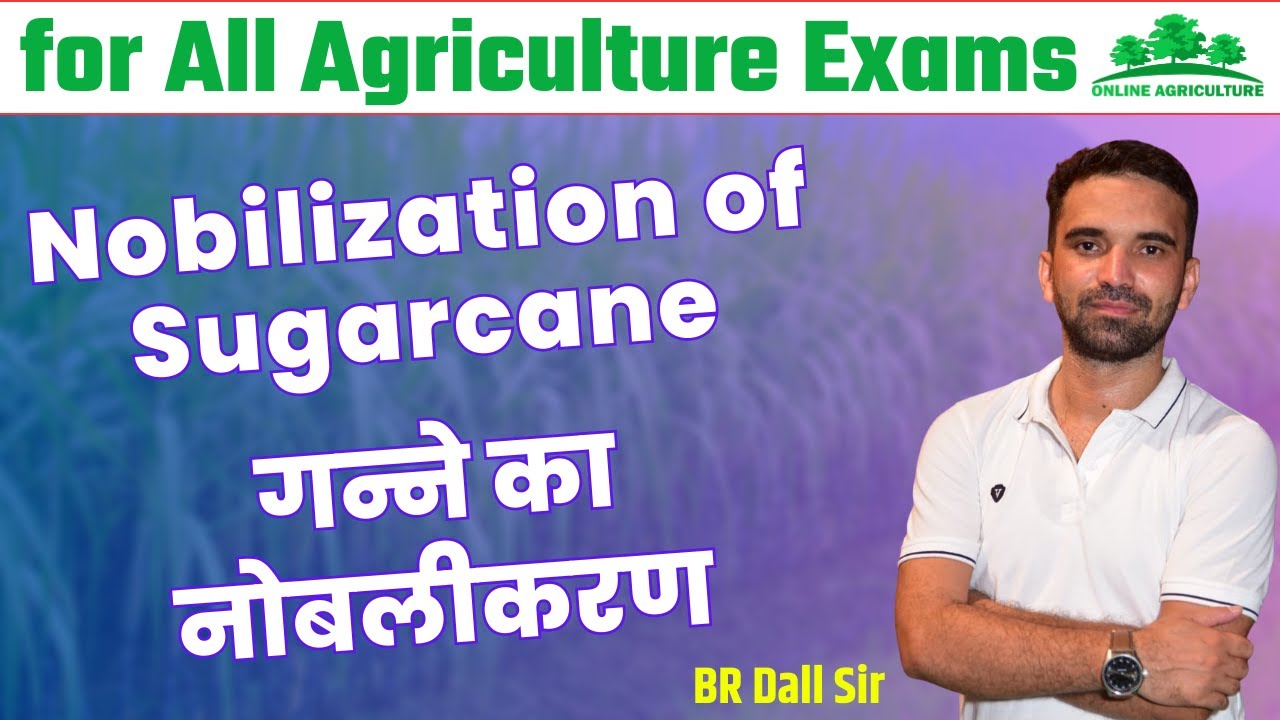 Nobilization of Sugarcane / गन्ने में नोबिलाइजेशन for All Agriculture Exams by BR Dall Sir