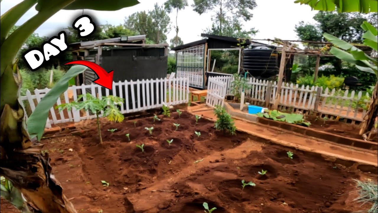 Amazing Kitchen Garden Makeover|Gardening Challenge 🏡.