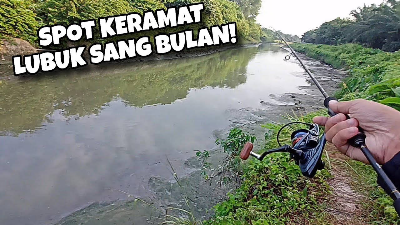 GASAK IKAN BULAN WAKTU AIR SURUT! MENCARI TARPON MONSTER PT.4
